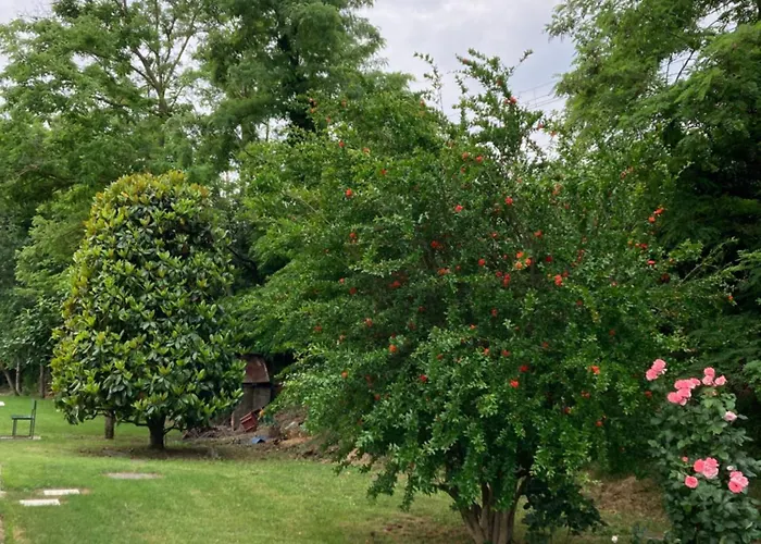 Maison Country Bolonha