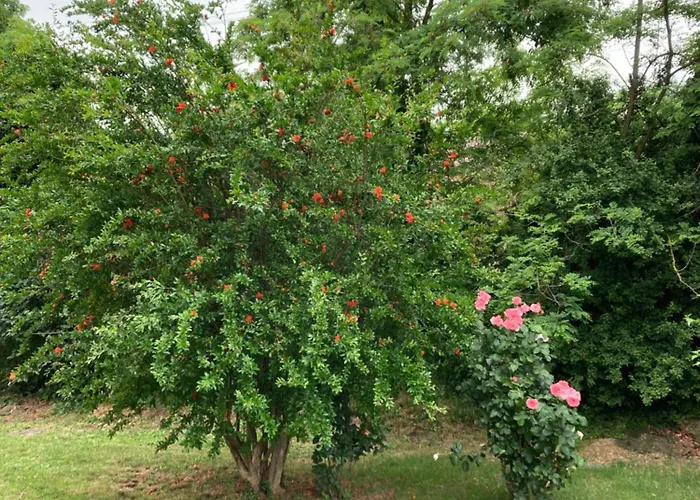 Maison Country Alojamento de Acomodação e Pequeno-almoço